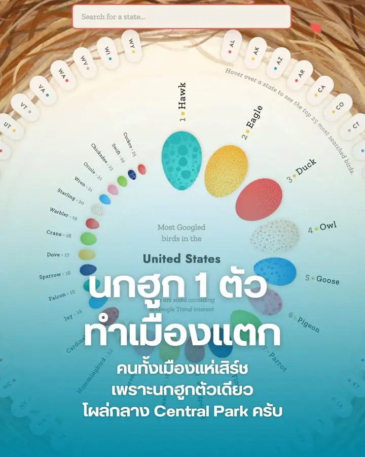 “นกฮูก 1 ตัว” สามารถทำให้ทั้งนิวยอร์กเสิร์ช Google กันกระหน่ำได้ครับ
