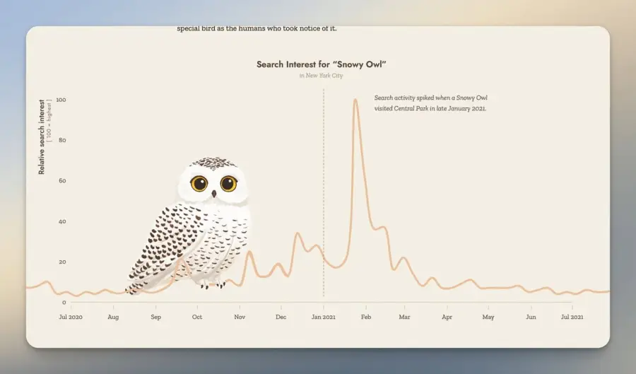 “นกฮูก 1 ตัว” สามารถทำให้ทั้งนิวยอร์กเสิร์ช Google กันกระหน่ำได้ครับ — รูปที่ 3