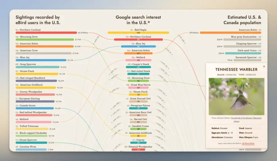 “นกฮูก 1 ตัว” สามารถทำให้ทั้งนิวยอร์กเสิร์ช Google กันกระหน่ำได้ครับ — รูปที่ 4
