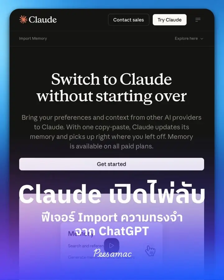 Claude Import Memory