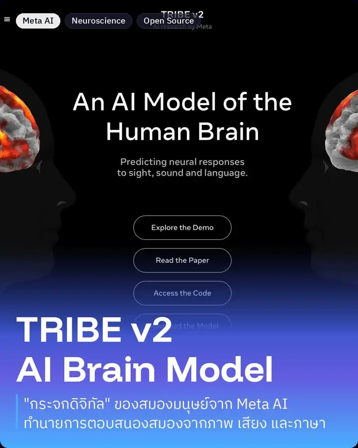 TRIBE v2 คือโมเดล AI ใหม่จาก Meta ที่เหมือนกระจกดิจิทัลของสมองเรา…