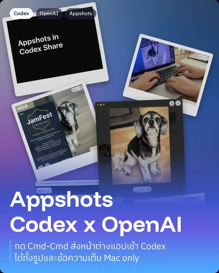 Appshots คือฟีเจอร์ใหม่ของ Codex จาก OpenAI…