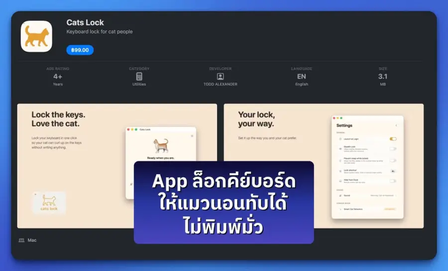 โพสนี้สำหรับทาสแมวสาย WFH ครับ