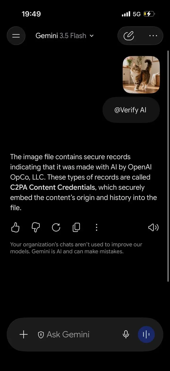 ภาพจาก ChatGPT ถ้าก๊อปมาเลย โยนให้ Gemini นางจับได้แล้วว่า Gen…