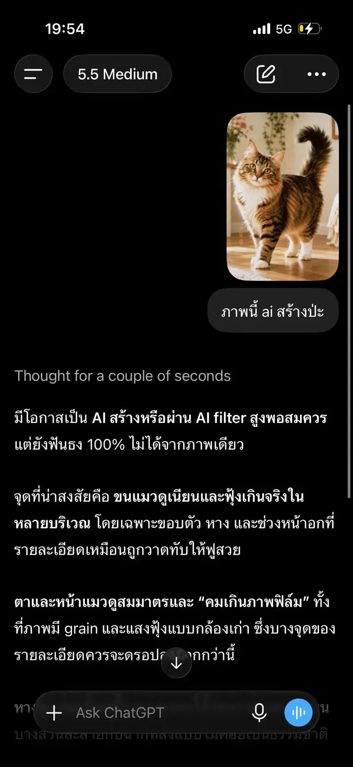ภาพจาก ChatGPT ถ้าก๊อปมาเลย โยนให้ Gemini นางจับได้แล้วว่า Gen… — รูปที่ 4