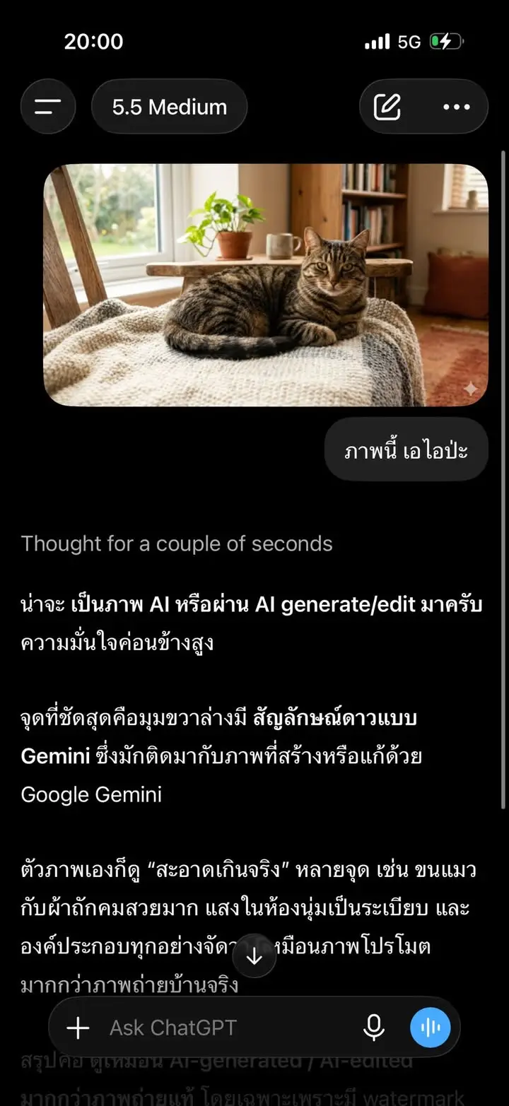 ภาพจาก ChatGPT ถ้าก๊อปมาเลย โยนให้ Gemini นางจับได้แล้วว่า Gen… — รูปที่ 8