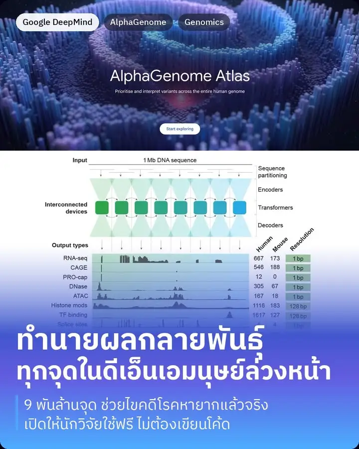 AlphaGenome Atlas คือฐานข้อมูลของ Google DeepMind…